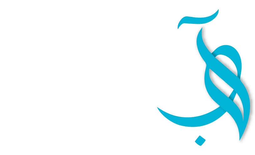 Ayat Batool Visa & PRO 